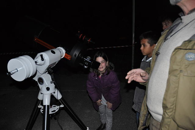 npz-10-2010-05