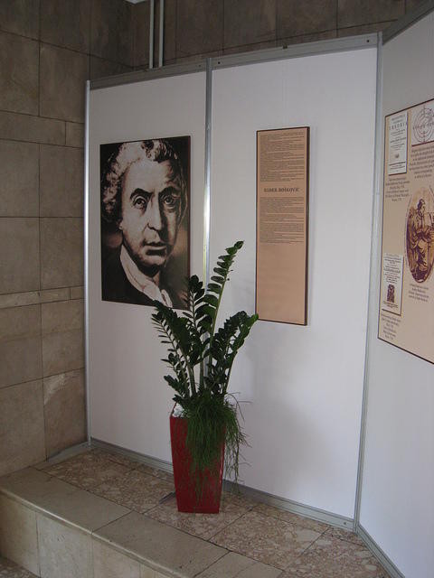 IMG 5650