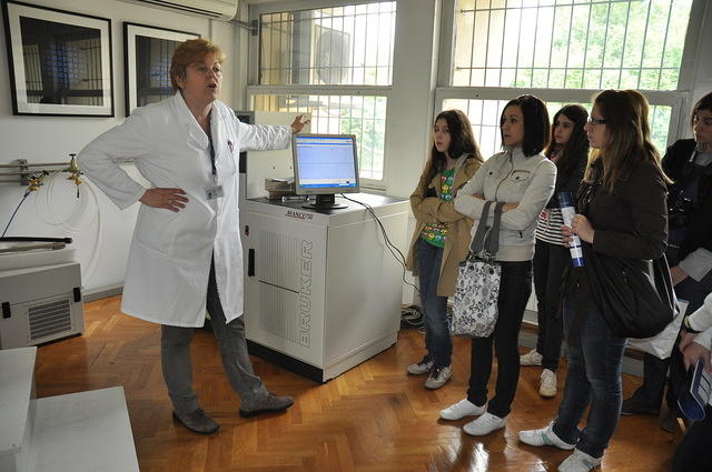 IRB-OD-2010-dan3-031