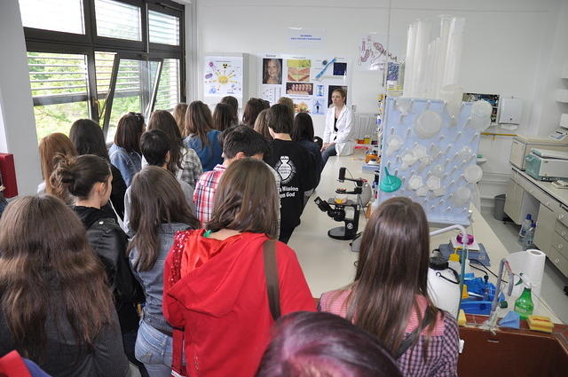 IRB-OD-2010-dan3-092