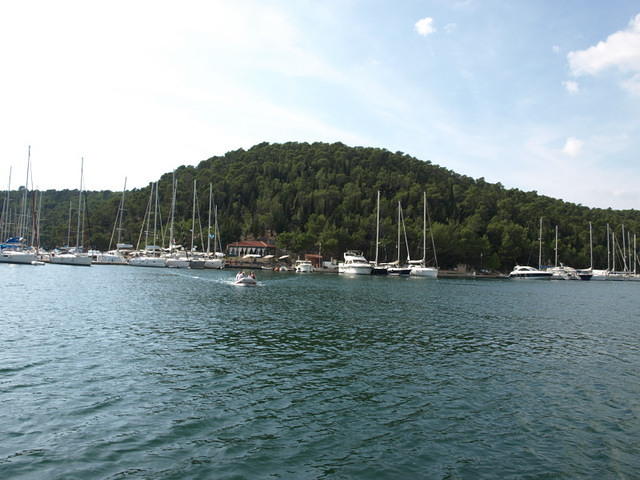 PA047861