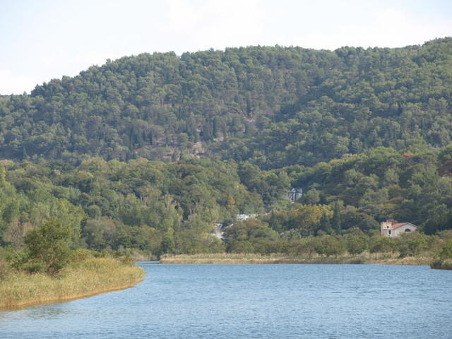 PA047872