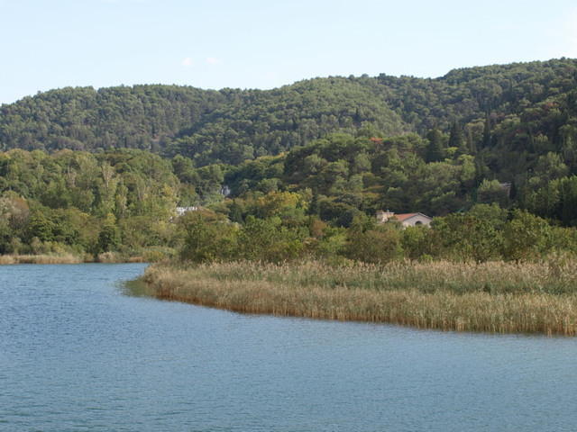 PA047875
