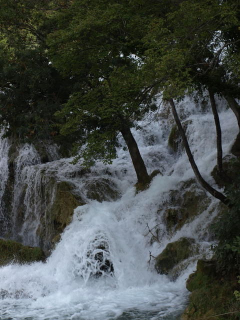 PA047892