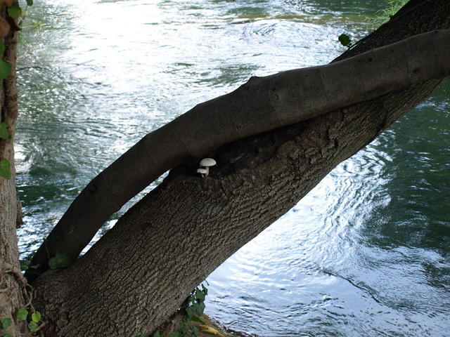 PA047911