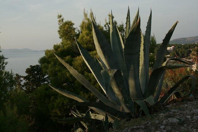 Primošten 059