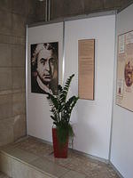 IMG 5650