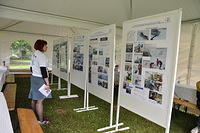 IRB-OD-2010-dan1-025