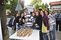 IRB-OD-2010-dan3-004