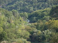 PA047876