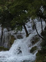 PA047892