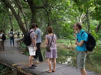 PA047904