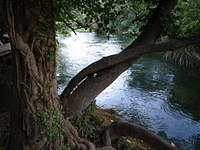 PA047910