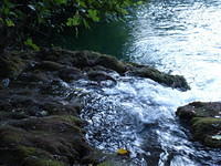 PA047922