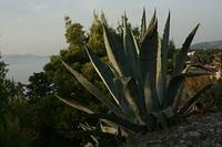 Primošten 059