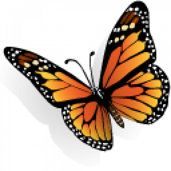 Slika: www.iconarchive.com