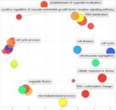 REVIGO - novi web servis za biologe i biomedicinare 