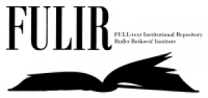 Fulir produkcija