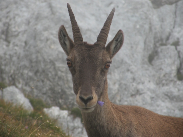 144. kolokvij Centra za znanstvene informacije