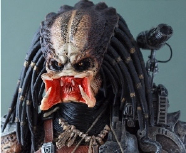 Oprez, &quot;predatori&quot; vrebaju!