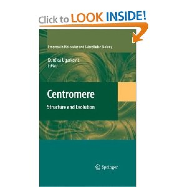 Centromere