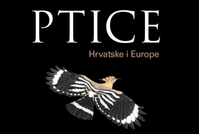 141. kolokvij Centra za znanstvene informacije