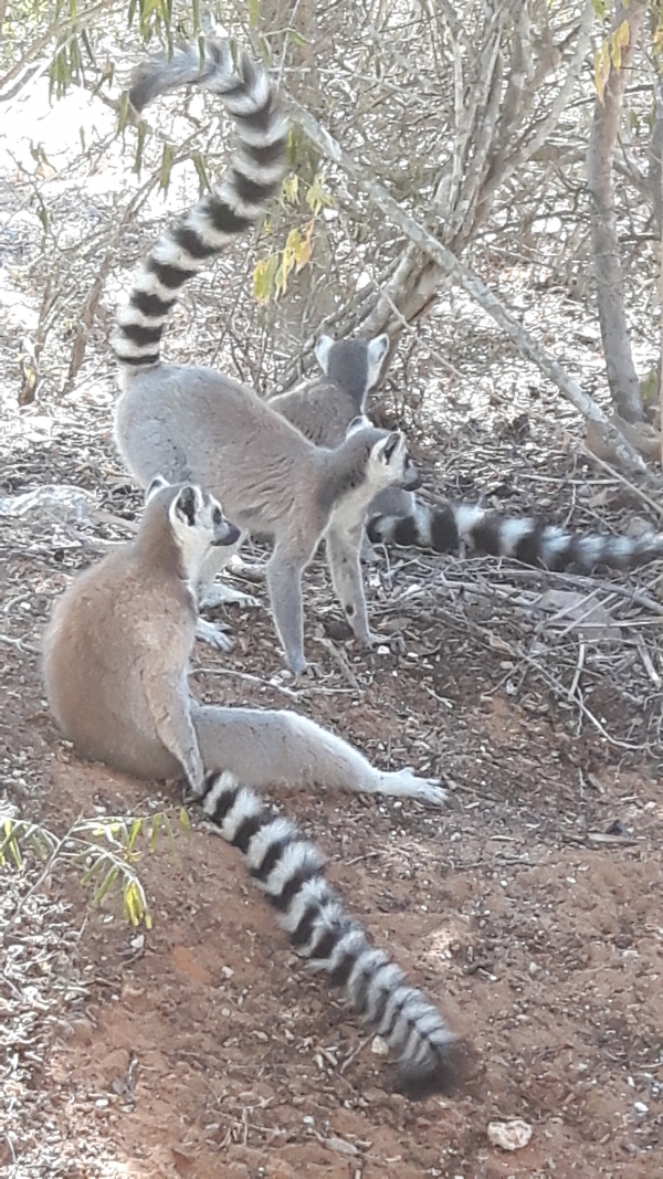 138. kolokvij Centra za znanstvene informacije
